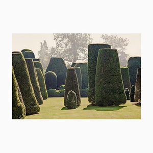 Guy Sargent, Le Jardin IV, Photographie