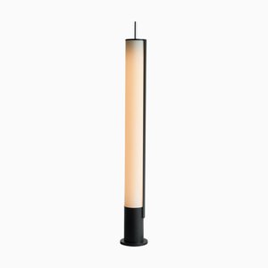 Niederländische Mid-Century Stehlampe aus Metall & Acryl, 1950er