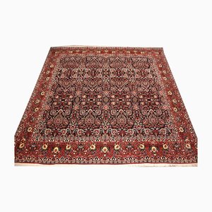 Bijar Hand-Knotted Rug in Virgin Wool