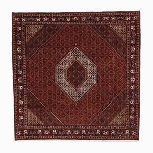 Bijar Hand-Knotted Rug in Virgin Wool