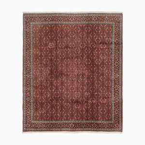 Bijar Rug in Wool