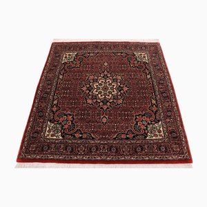 Bijar Rug in Wool