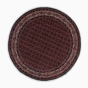 Bidjar Hand-Knotted Rug in Virgin Wool
