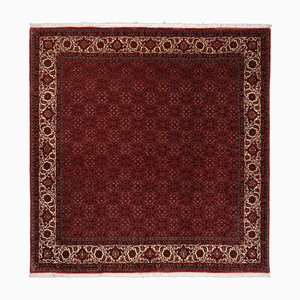 Bidjar Hand-Knotted Rug in Wool