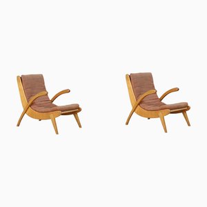 Easy Chairs in Curved Oak and Canvas, 1950s, Set of 2