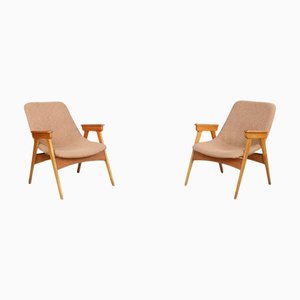 Fauteuils Mid-Century Modernes en Hêtre et Fibre de Verre, République Tchèque, 1950s, Set de 2
