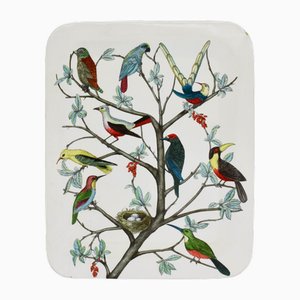 Großes italienisches Vintage Tablett von Piero Fornasetti, 1953