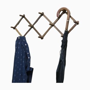 Vintage French Coat Rack, 1960