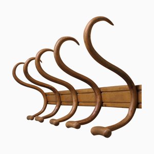Antique Hat and Coat Hooks in Bentwood, 1900