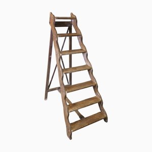 Scala a pioli in pino, XIX secolo, metà XIX secolo