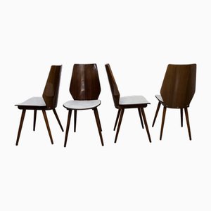 Chaises Baumann Modèle 840 G2s en Acajou Verni, 1963, Set de 6