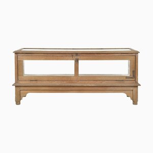 Niedrige Vitrine aus Holz und Glas
