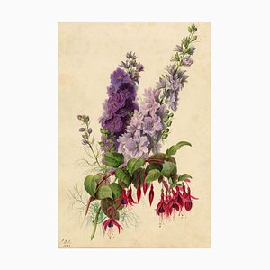 E.B.R., Delphiniums & Fuchsia Flower, 1842, Watercolour Painting