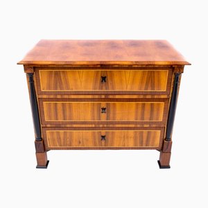 Antique Chest of Drawers, Northern Europe, 1850s