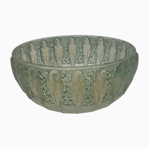 Perruche Bowl by R. Lalique, 1931