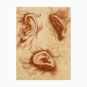 D'Apres Charles Le Brun, Etude De Physionomie Des Oreilles, Dessin Craie 18e Siecle