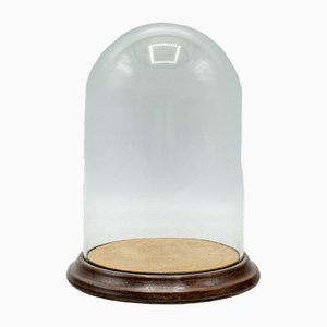 Small Antique English Glass and Beech Display Dome, 1910