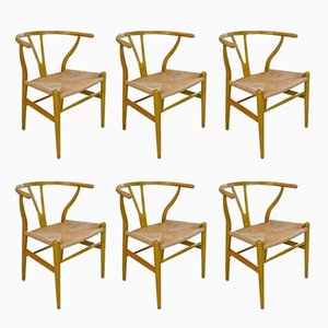 CH 24 Wishbone Chairs by Hans J. Wegner for Carl Hansen & Søn, 1950s, Set of 6