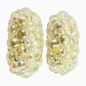 Mid-Century Modern Amber Bubble Glass Wall Lights attributed to Helena Tynell for Limburg, 1960s, Set of 2