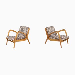 Curved Easy Chairs in Ash with Original Upholstery by Jan Vaněk, Cz, 1950s, Set of 2