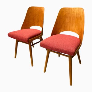 Set of Ton Model 514 Dining Chairs by Radomír Hofman, 1960s