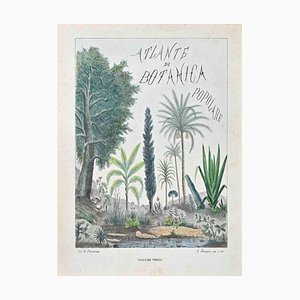 Vincenzo Tenore, Title Page of the Atlas of Popular Botany, Lithograph, 1870s