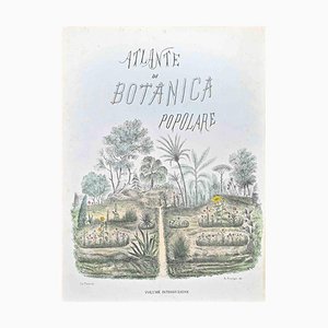 Vincenzo Tenore, Atlas of Botany, Frontispiece, Lithograph, 1870s