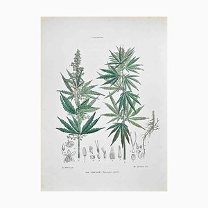 Vincenzo Tenore, The Canale, Lithograph, 1870s