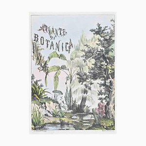 Vincenzo Tenore, The Atlas of Botany, Frontispiece, Lithograph, 1870s