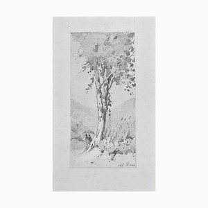 Carlo Ferrari, The Big Tree, Pencil Drawing, 1899
