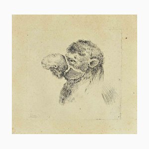 Stefano Della Bella, Head of Camel, Etching, 17th Century