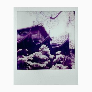 Vito DiFilippo, Temple, Photograph, 2024