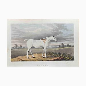 James Barenger, Claret, Etching, 1822