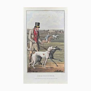 Henry Alken, Greyhounds, Etching, 1822