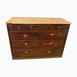 Chest of Drawers in Beech