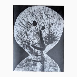 Pablo Picasso, Diurnes, Original Fotogravur, 1962