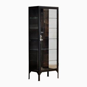 Vintage Iron Display Cabinet, 1930s