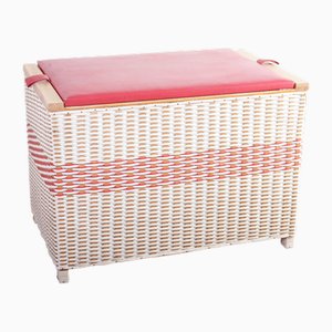 Coffre Pedig Mid-Century Moderne en Plastique, Tchécoslovaquie, 1960s