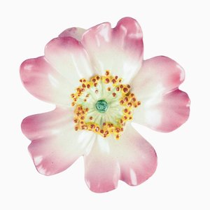 Blumenförmiger Wandpflanzer aus Keramik von Delphin Massier für Vallauris