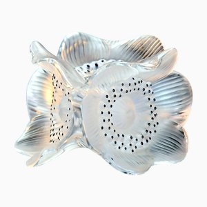 Candelabro con tres anémonas de cristal translúcido satinado, siglo XX de Lalique, años 80