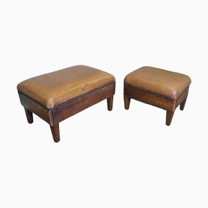 Stabile Bibliothekshocker aus Leder, 1900, 2 . Set
