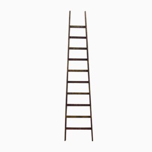 Industrial Wooden Ladder, 1950s