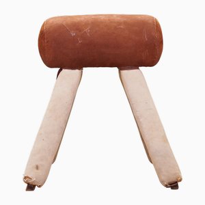 Vintage Danish Gymnastic Horse, 1980s