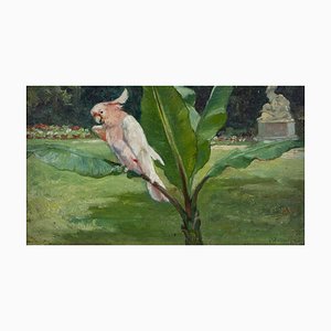 Charles Hd Boland de Spa, The Pink Cockatoo, 1895, Oil on Panel