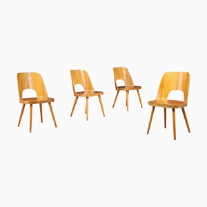 Oswald Haerdtl zugeschriebene Esszimmerstühle für Ton, Ehemalige Tschechoslowakei, 1950er, 4er Set