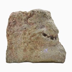 Sirio Pellegrini, Head of Animal Sculpture, 1960s, Stone