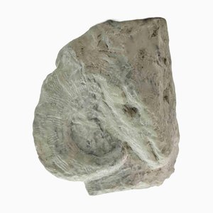 Sirio Pellegrini, Widderkopfskulptur, 1960er, Stone