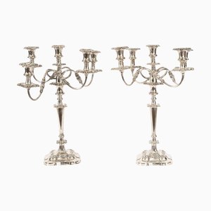 Large Antique Silver-Plated 5-Light Candelabra from Mappin & Webb, 1890s