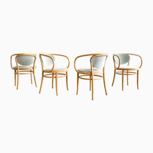Poltrone 210 P in legno curvato in faggio con rivestimento in velluto salvia di Michael Thonet per Thonet, Germania, 1989, set di 4