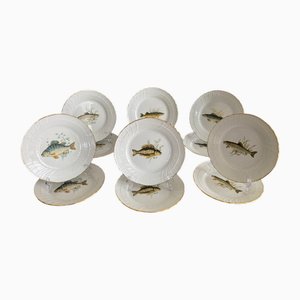 Fisch Quenelle Teller aus Porzellan von Richard Ginori, Italien, 1980er, 12er Set